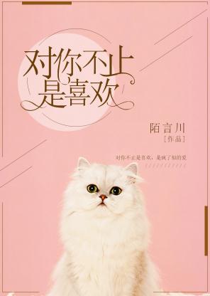 ���㲻ֹ��ϲ��