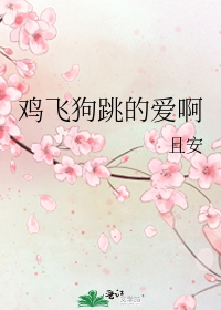 ���ɹ����İ���