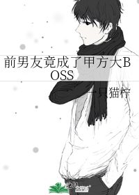 ǰ���Ѿ����˼׷���BOSS