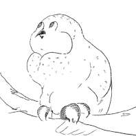 èͷӥ����Ŭ����[����]