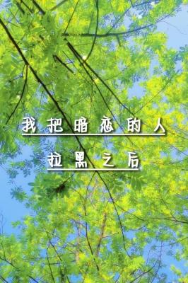 �ҰѰ�����������֮��