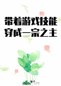 ������������Ϸ����