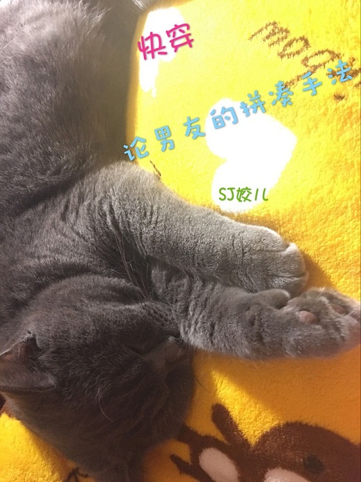 [�촩]�����ѵ�ƴ���ַ�