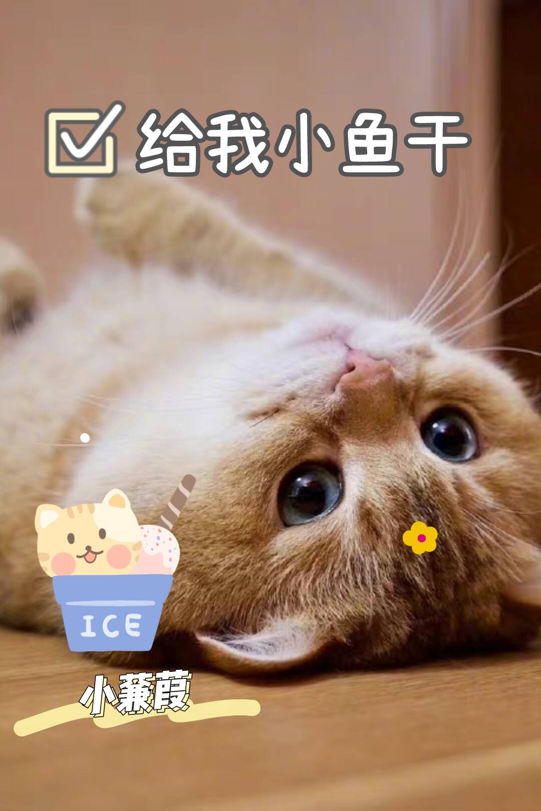 ����С���