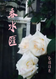 ��������Ƭ��������[����]