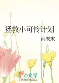 ����С�����ƻ�