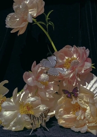 ��ҹʱ�ַ���(�Ȼ��)