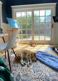 �δ��ǹ�;(1V1 HE��