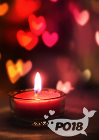 �ػ����������ס�